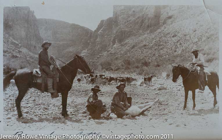Cattle ranching in the Superstition Mountains ca 1908