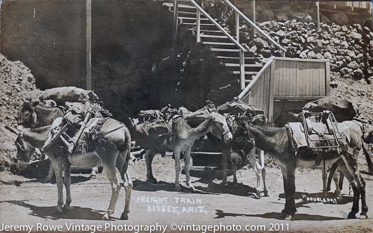 Bisbee Freight team ca 1915