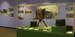 airportshow5